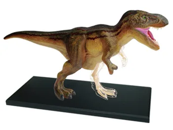 4d Dinozaur Tyrannosaurus Rex Puzzle Asamblarea Scheletului Animal de Jucărie Anatomiei Organelor Medicale Modelul de Predare