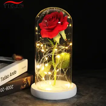 LED Lumina de Noapte frumoasa si Bestia Crescut În Vasul de Sticlă Veșnică Trandafiri pentru Cadouri de Crăciun de Familie Decor Cadou de Ziua Îndrăgostiților