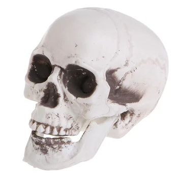 Plastic Omului Mini Craniu Decor Prop Schelet pentru Cap de Halloween Cafea Baruri Orna Dropship