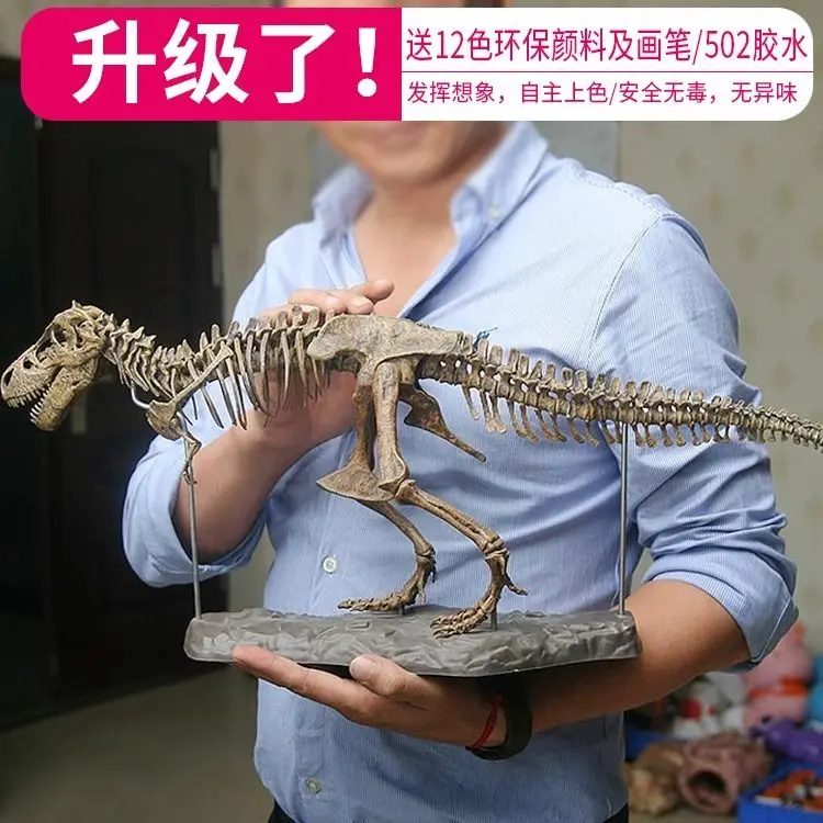 Tyrannosaurus Rex Fosili Schelet pentru Copii, Asamblat Modelul de Dinozaur Mare Creatură, Bioarchaeology Predare Ornamente Imagine 0