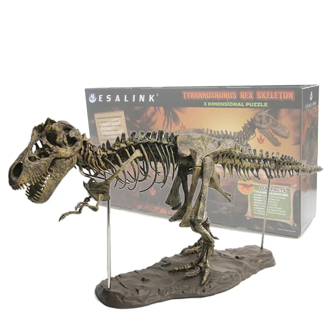 Tyrannosaurus Rex Fosili Schelet pentru Copii, Asamblat Modelul de Dinozaur Mare Creatură, Bioarchaeology Predare Ornamente Imagine 1