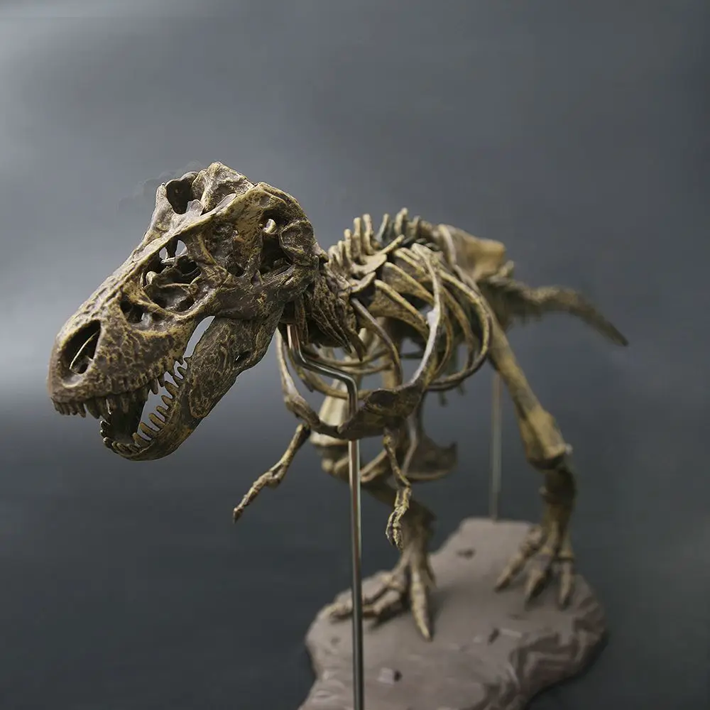 Tyrannosaurus Rex Fosili Schelet pentru Copii, Asamblat Modelul de Dinozaur Mare Creatură, Bioarchaeology Predare Ornamente Imagine 2