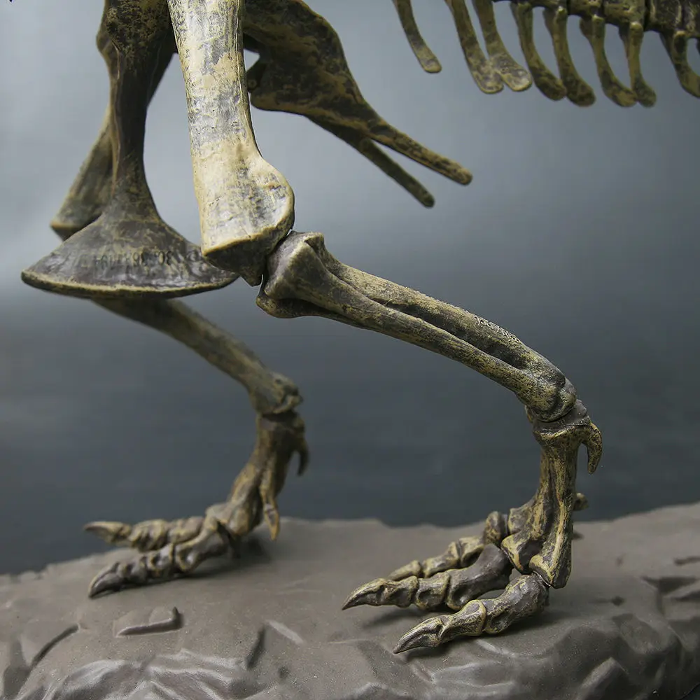 Tyrannosaurus Rex Fosili Schelet pentru Copii, Asamblat Modelul de Dinozaur Mare Creatură, Bioarchaeology Predare Ornamente Imagine 3