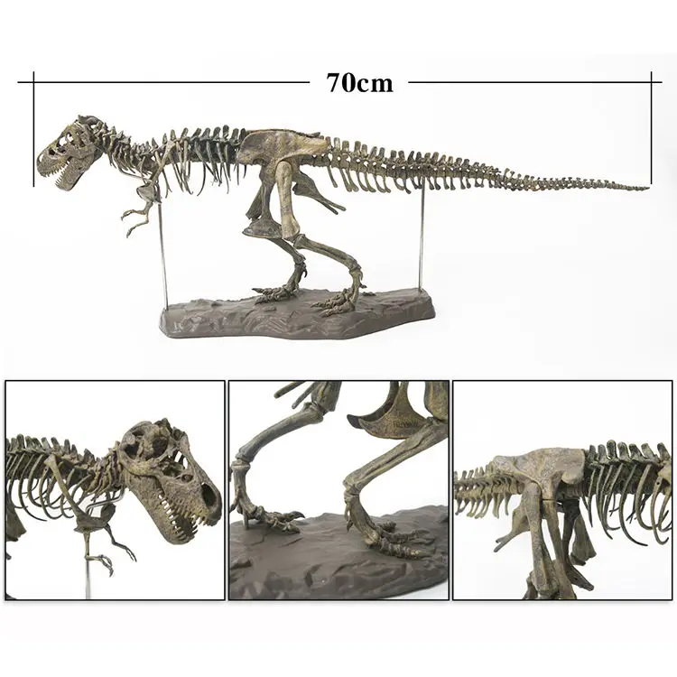 Tyrannosaurus Rex Fosili Schelet pentru Copii, Asamblat Modelul de Dinozaur Mare Creatură, Bioarchaeology Predare Ornamente Imagine 4