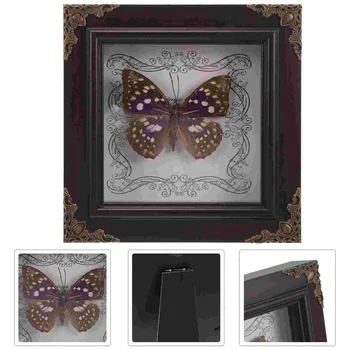 Încadrată Fluture Specimen De Afișare Cadru De Lemn Fluture Decor Desktop Ornament